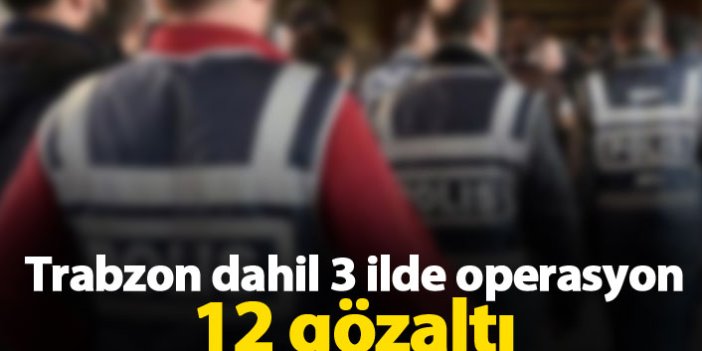 Trabzon dahil 3 ilde operasyon 12 gözaltı