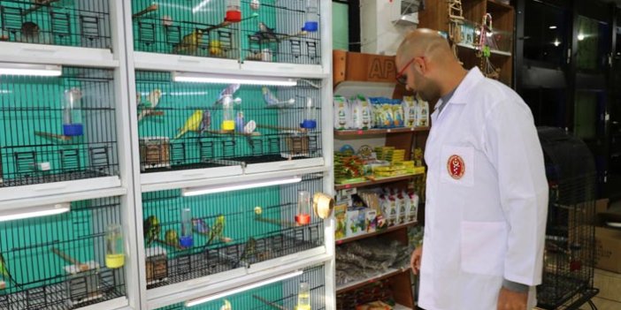 Samsun'da süs hayvanı satış yerleri denetleniyor!