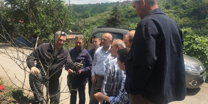 Trabzon'da çiftçiler için ilk kez bu kurs düzenleniyor