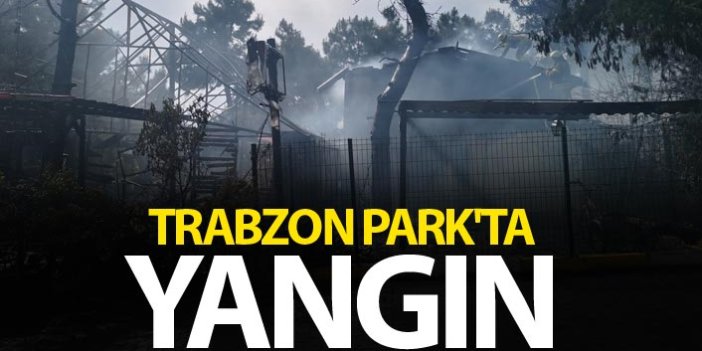 İstanbul Trabzon Park'ta yangın