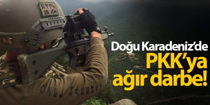 Doğu Karadeniz'de PKK'ya darbe