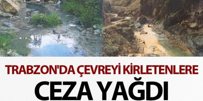 Trabzon'da çevreyi kirletenlere ceza yağdı