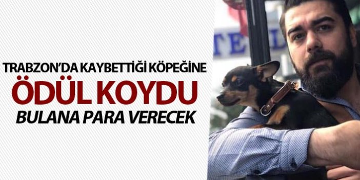Trabzon'da kaybettiği köpeğine ödül koydu