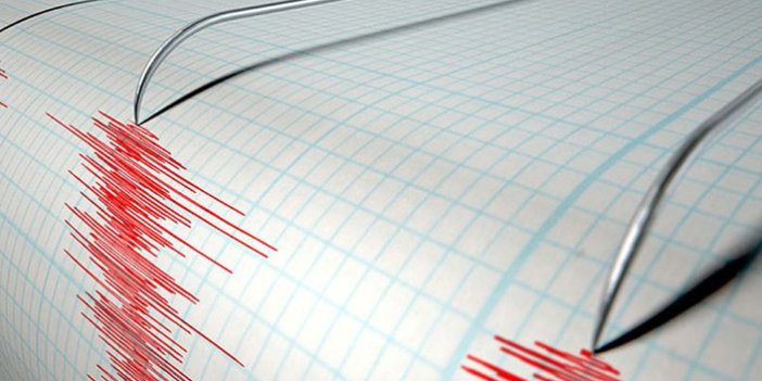Muğla'da 4,6 büyüklüğünde deprem