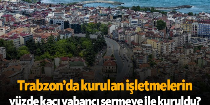 Trabzon'da kurulan işletmelerin yüzde kaçı yabancı sermayenin?