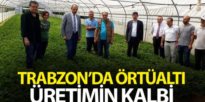Trabzon’da örtüaltı üretimin kalbi