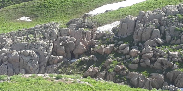 Şırnak'ta 'PKK kampı', 3 katlı mağara kullanılamaz hale getirildi
