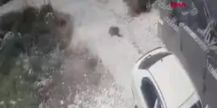 Maskeli israilli grup Filistinli ailenin evine saldırdı