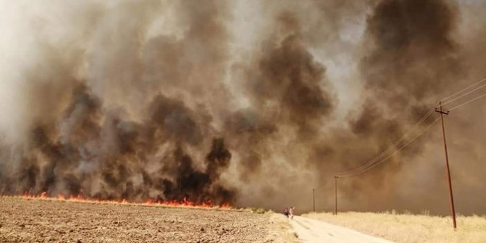Irak'daki tarla yangınlarının sebebi belli oldu!