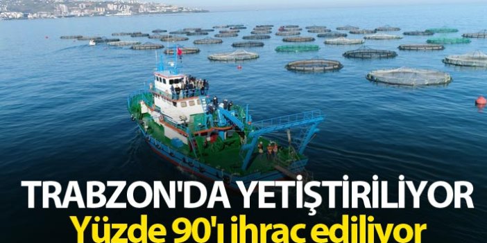 Trabzon'da yetiştiriliyor - Yüzde 90'ı ihraç ediliyor