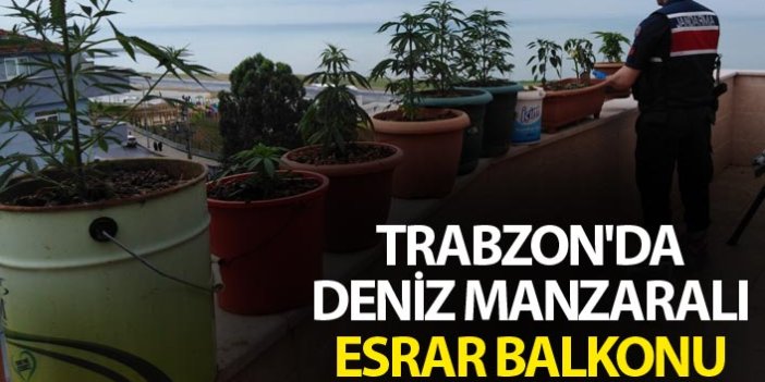 Trabzon'da deniz manzaralı esrar balkonu