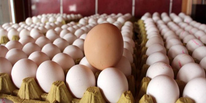 Tavuk yumurtası üretimi Nisan'da azaldı