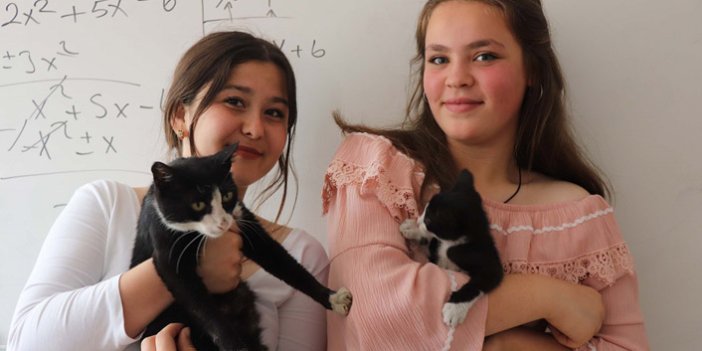 Okulda beslenen kedi yavruları karne gününde yuvaya kavuştu