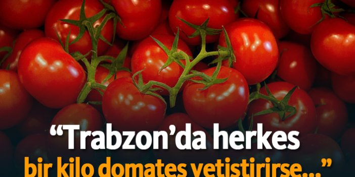 “Trabzon’da herkes  bir kilo domates yetiştirirse...”