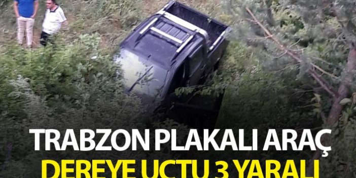 Trabzon plakalı araç dereye uçtu - 3 yaralı