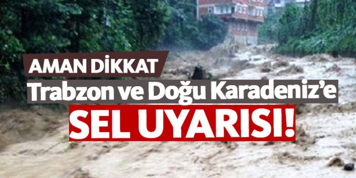 Meteorolojiden Trabzon ve Doğu Karadeniz'e sel uyarısı!