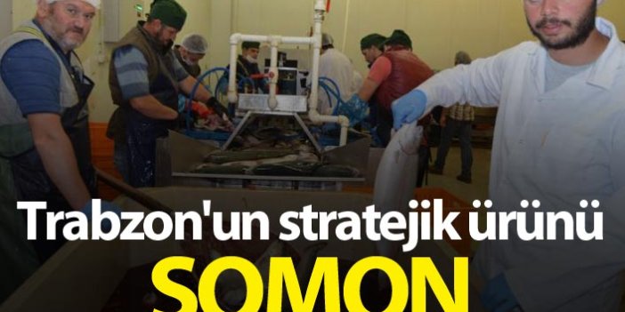 Trabzon'un stratejik ürünü: Somon