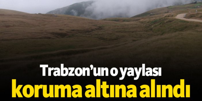 Trabzon’un o yaylası koruma altına alındı