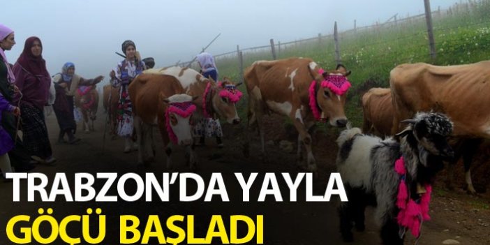 Trabzon'da yayla göçü başladı