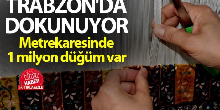 Trabzon'da dokunuyor - Metrekaresinde 1 milyon düğüm var