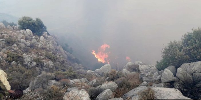 Orman yangını 3 saatte söndürüldü