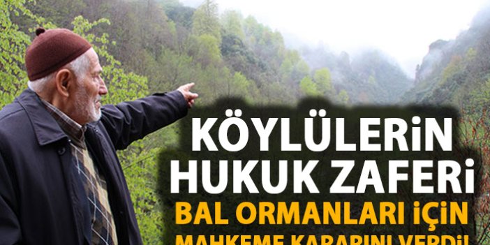 Bal Ormanları için mahkeme kararını verdi