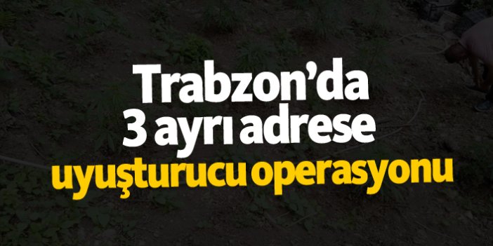 Trabzon’da 3 ayrı adrese  uyuşturucu operasyonu