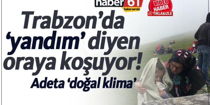 Trabzon'da 'yandım' diyen yaylaya kaçıyor!