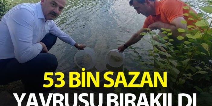 Trabzon'daki göletlere 53 Bin sazan yavrusu bırakıldı