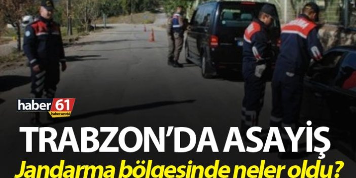 Trabzon’da Asayiş - Jandarma bölgesinde neler oldu?
