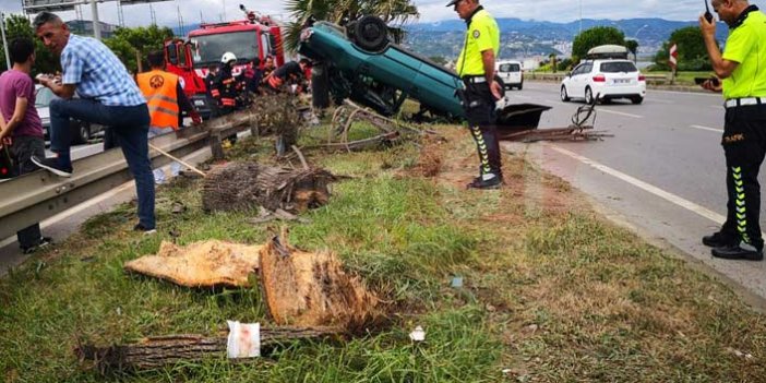 Trabzon’da aşırı hız kazayı beraberinde getirdi! Ağaç yerinde söküldü