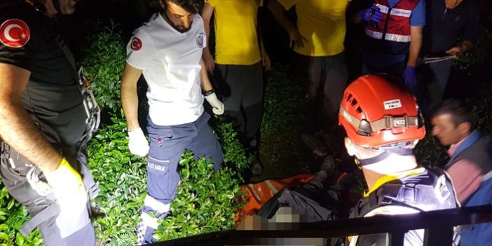 Rize'de çıktığı ağaçta elektrik akımına kapılan kişi öldü