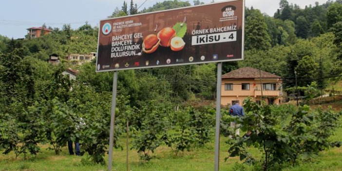 Fındık hasadı başlıyor - Hisarcıklıoğlu Trabzon'da fındık toplayacak