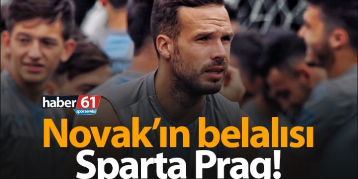 Novak'ın belalısı Sparta Prag!