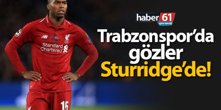 Trabzonspor'da gözler Sturridge'de!