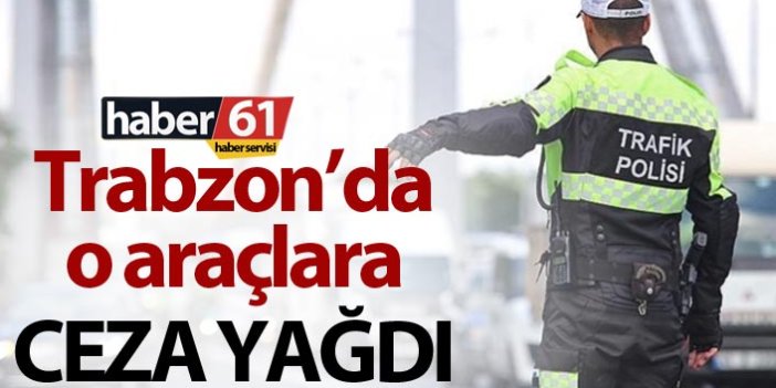 Trabzon’da izinsiz yolcu taşıyan araçlara ceza yağdı