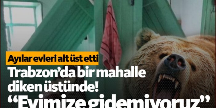 Trabzon'da korkutan ayı saldırısı
