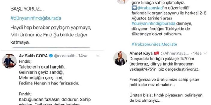 Trabzon’un 6 milletvekili "dünyanın fındığı burada" sloganında buluştu