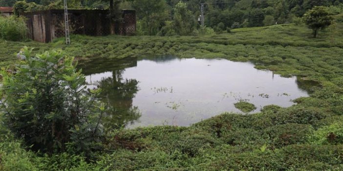 Rize'de iki kişinin inadı çay bahçesini göle döndürdü