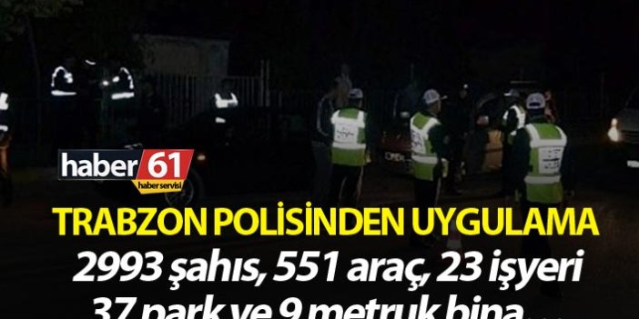 Trabzon polisinden uygulama - 2993 şahıs, 551 araç, 23 işyeri, 37 park ve 9 metruk bina…