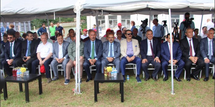 Trabzon'da örnek bahçede ekonomik fındık hasadı töreni yapıldı