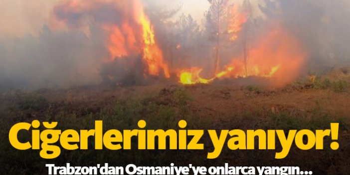 Türkiye'nin ciğerleri yanıyor