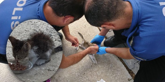 Polis memurları minik kedinin hayatını kurtardı