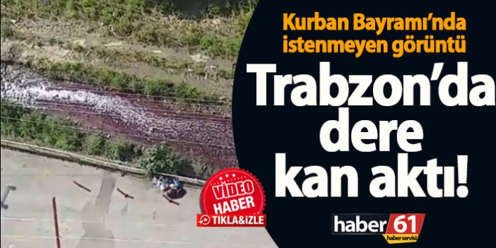Trabzon’da dere kan aktı – Kurban Bayramında istenmeyen görüntü