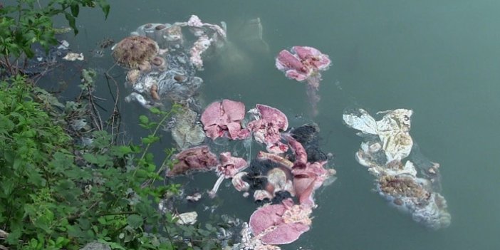 Baraj gölü kurban atıklarıyla doldu