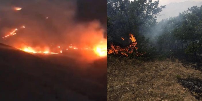 Bayburt'ta orman yangını