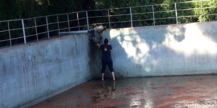 Sulama havuzuna düşen köpeği itfaiye kurtardı