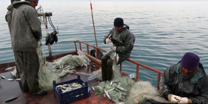 Kaçak avlanan balıkçılara ceza