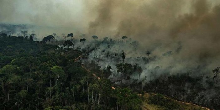 Dünyanın akciğerleri Amazonlar yanıyor