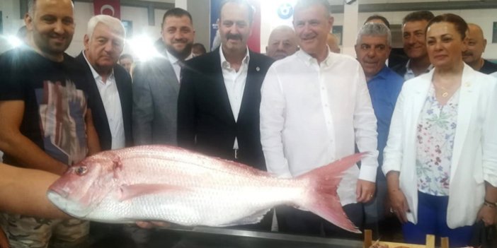 İzmir’de balık bereketi